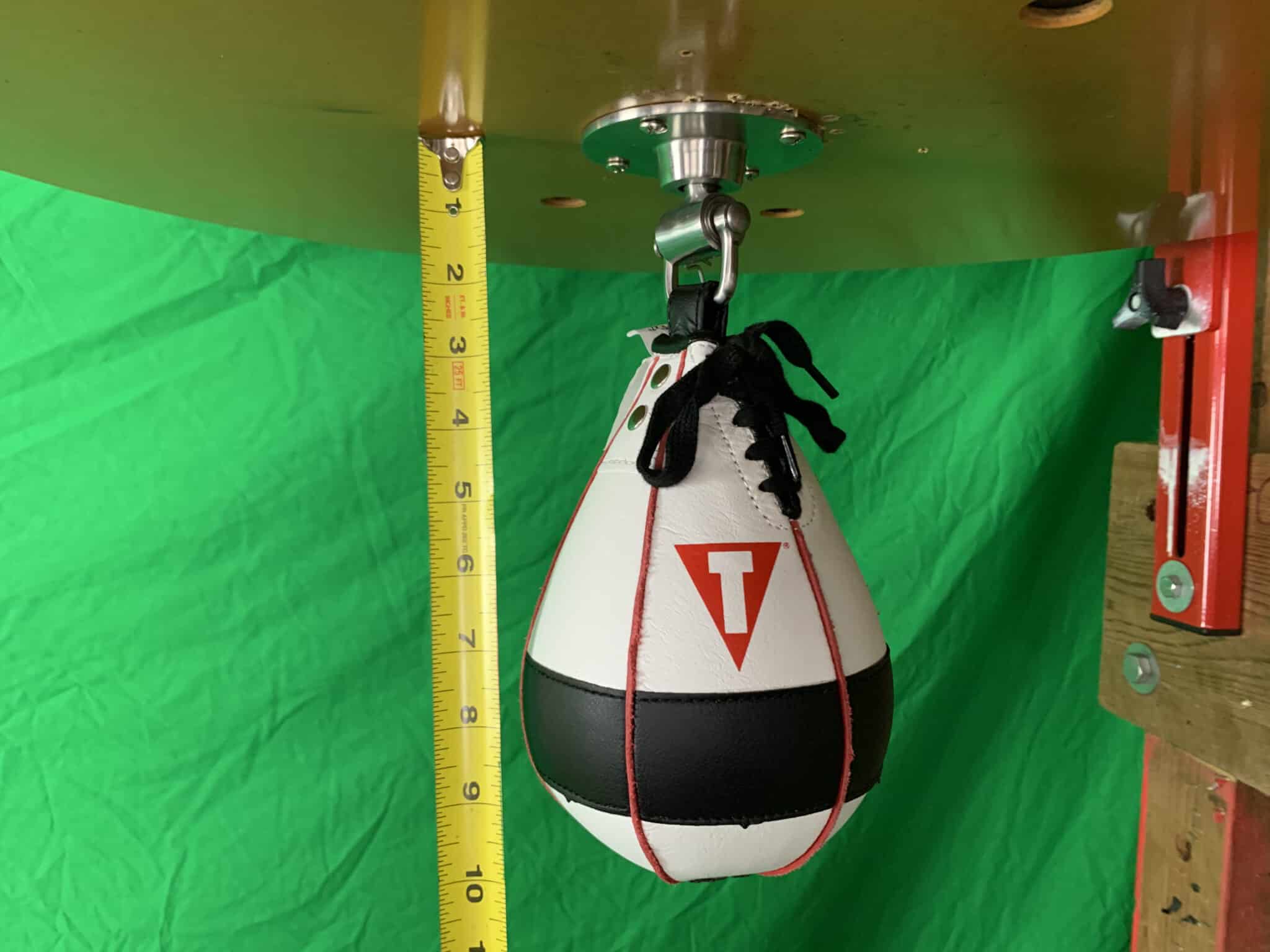 Title Lightning Fast Speed Bag Review - Speed Bag Labs